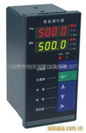 乐清市东信仪器仪表公司网站